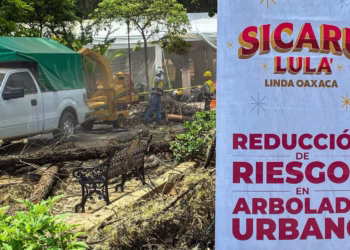 Gobierno de Oaxaca de Juarez prioriza el cuidado del arbolado del Paseo Juárez El Llano