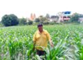 Oaxaca lo logró: alcanza autosuficiencia en producción de maíz