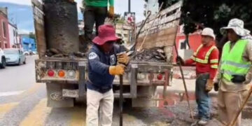 Tache al Bache mejora las condiciones de circulación en Oaxaca de Juárez