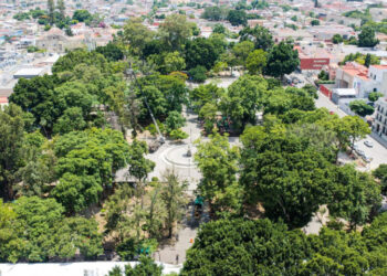 obierno de Oaxaca de Juarez prioriza el cuidado del arbolado del Paseo Juárez El Llano