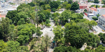 obierno de Oaxaca de Juarez prioriza el cuidado del arbolado del Paseo Juárez El Llano